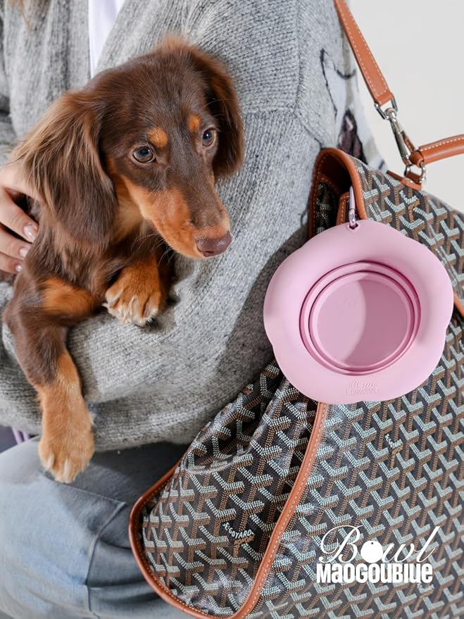 Silicone Collapsible Dog Bowls, No Splash Spill Proof Dog Travel Bowls Integrated Molding Portable Pet Bowl for Outdoor Camping Hiking(Pink, S)