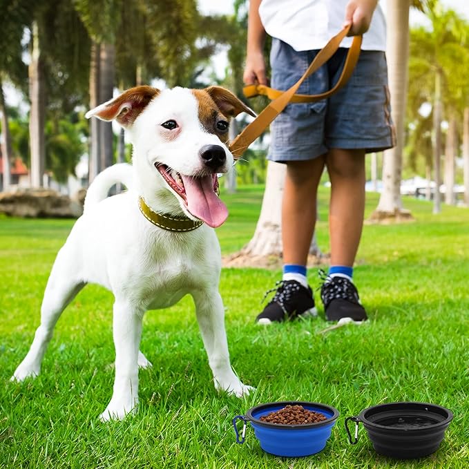 2-Pack Small Dog Travel Bowl, Collapsible Bowls for Dogs, Foldable Cat Water Bowl, Portable Pet Feeding Watering Traveling Dish (Black & Dark Blue)