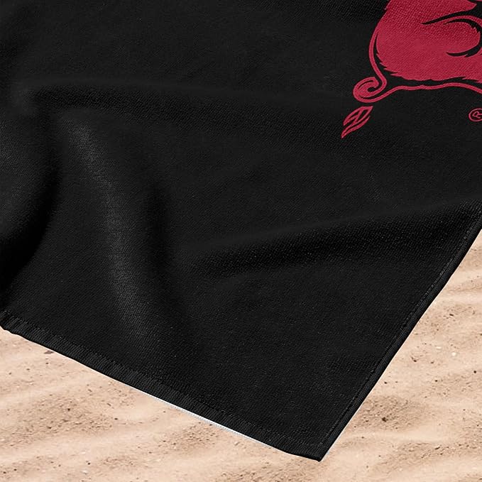Northwest NCAA Unisex-Adult Microfiber Beach Towel