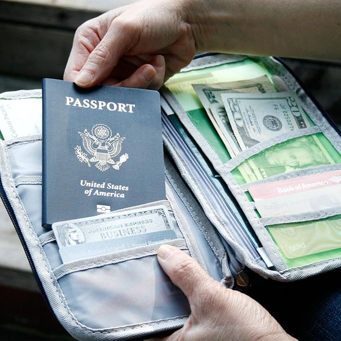 Wrapables® Passport and Travel Documents Holder, Green