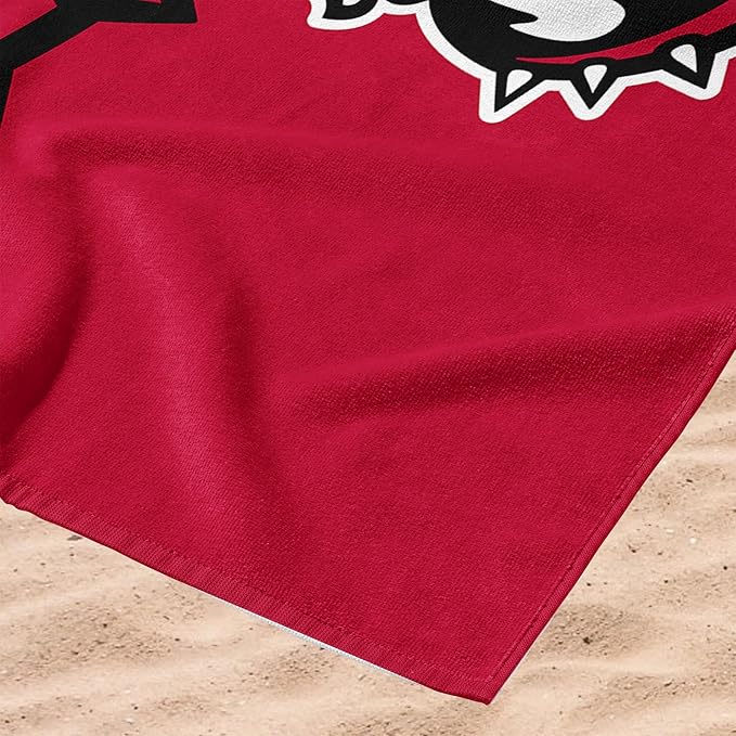 Northwest NCAA Unisex-Adult Microfiber Beach Towel