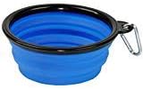Collapsible Pet Bowl