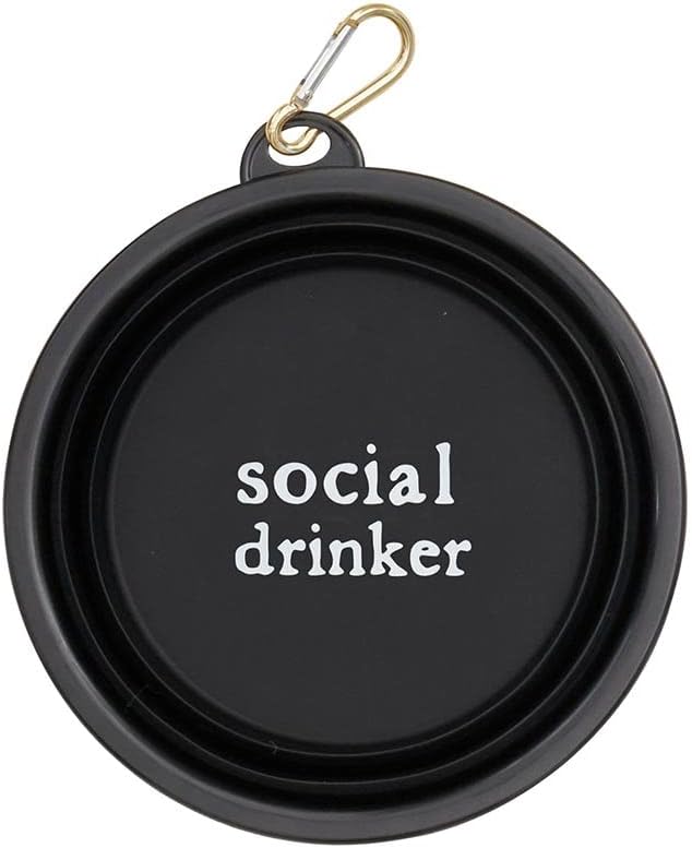 Santa Barbara Design Studio Collapsible Pet Bowl Silicone Portable Water Bowl for Dogs or Cats, Holds 4-Cups, Social