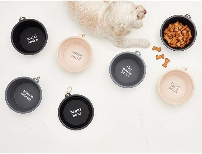Santa Barbara Design Studio Collapsible Pet Bowl Silicone Portable Water Bowl for Dogs or Cats, Holds 4-Cups, Social