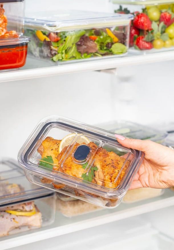 Latchlok Click 1.9 Cup Food Storage Container, Set of 2, Storm