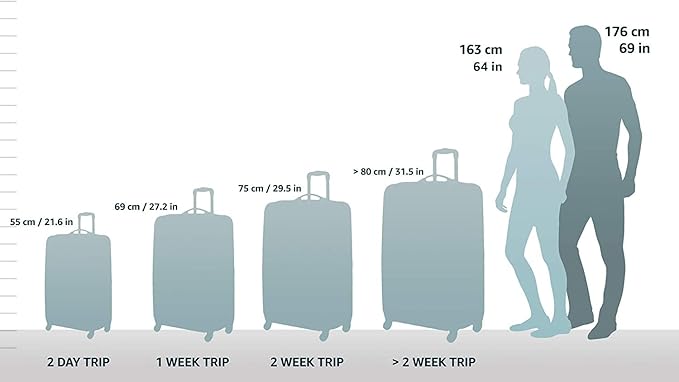 Briggs & Riley 30" Large Spinner - Checked Luggage for Travel, Suitcases with Wheels, Hardside Rolling Bag for Men & Women, Self-Repairing Zipper - Torq Collection, Stealth Black