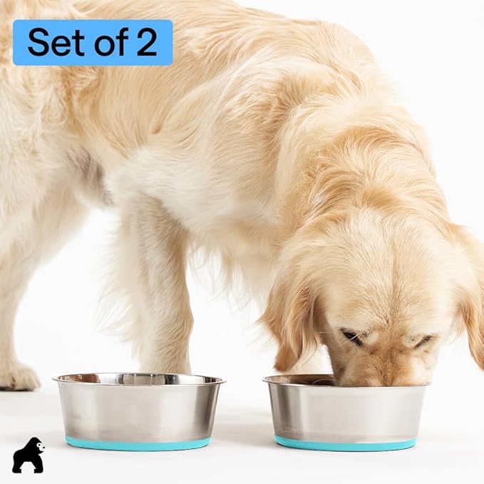 GORILLA GRIP Dog Bowls, Heavy Duty 304 Stainless Steel, Holds 1 Cup Each (8 fl oz) Food and Water Bowl for Feeding Dogs and Cats, Dishwasher Safe Rust Resistant BPA Free Rubber Base Set of 2 Turquoise