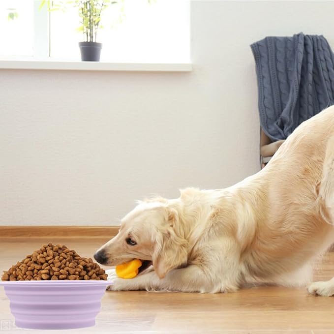 Dog Bowls Pet Collapsible Bowl, 2 Pack,Small,Medium, Large