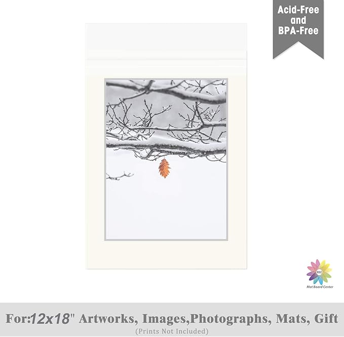 Mat Board Center, (100 Pack) 12 7/16" x 18 1/4" Acid-Free Clear Picture Sleeves, Self Sealing Cello Bags for 12x18 Prints, Photos, Clothing & T-Shirt