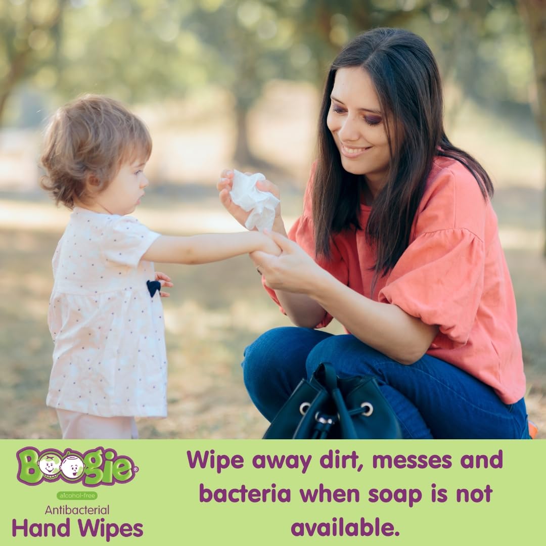 Boogie Antibacterial Hand Wipes, Alcohol Free, Hypoallergenic and Moisturizing Aloe, For Kids and Adults - 30 Wipes (Pack of 2)