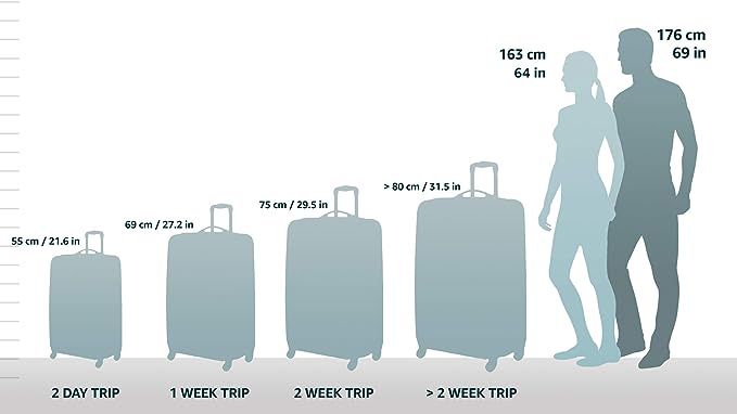 Rockland London Hardside Spinner Wheel Luggage, Grey, Carry-On 20-Inch