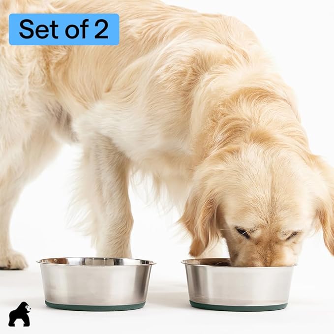 GORILLA GRIP Dog Bowls, Heavy Duty 304 Stainless Steel, Holds 4 Cups Each (32 fl oz) Food and Water Bowl for Feeding Dogs and Cats, Dishwasher Safe, Rust Resistant, BPA Free Rubber Base Set of 2 Green