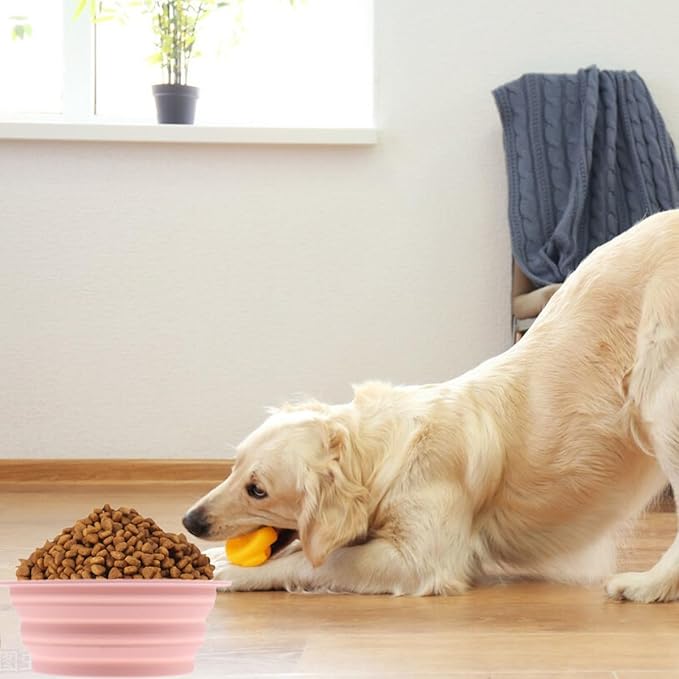 Dog Bowls Pet Collapsible Bowl, 2 Pack,Small,Medium, Large