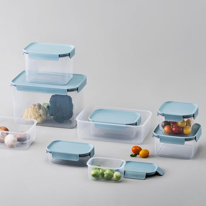 LocknLock Classic-Plus Plastic Food Storage Container | Airtight Plastic Food Storage Containers with Lids | BPA Free Stackable Food Storage for Meal Prep, Leakproof, Freezer & Dishwasher Safe, 420ml