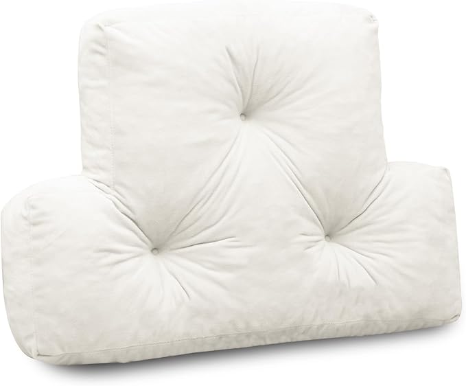 Back Pillow for Chair, Memory Foam Lumbar Pillow for Back Support, Back Rest Cushion for Office, Sofa, Couch Sitting, Recliner, Bed and Lower Back Pain (Beige)