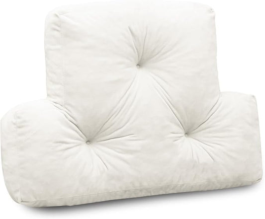 Back Pillow for Chair, Memory Foam Lumbar Pillow for Back Support, Back Rest Cushion for Office, Sofa, Couch Sitting, Recliner, Bed and Lower Back Pain (Beige)