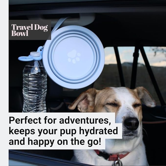 3-in-1 Travel Dog Bowl Set – 30 OZ Stainless Steel + 20 OZ Collapsible Water Bowl Lid | BPA-Free, Anti-Slip, Portable Dog Bowl w/Handle/Water Bottle Holder with Carabiner | Black Bowls