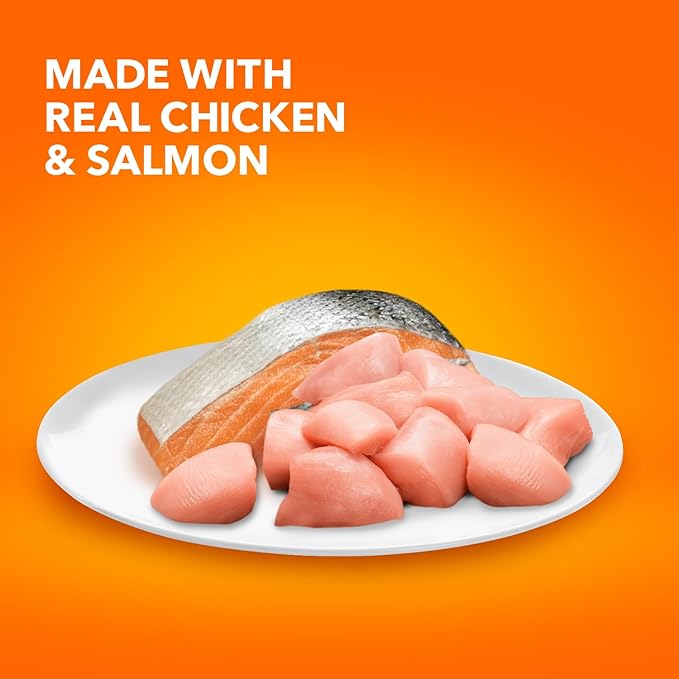 IAMS Healthy Enjoyment Dry Cat Food Chicken & Salmon Recipe, Cat Food Dry Recipe, 3 lb. Bag