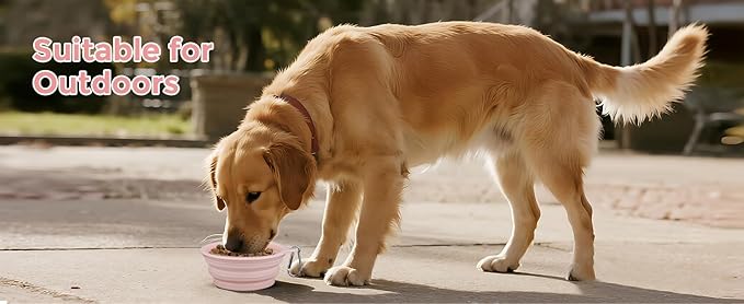 Collapsible Dog Bowls 2-Pack, 22OZ Silicone Large Breed Water & Food Bowls, Portable Pet Bowls with Hook for Travel, Meet Needs in Different Scenarios,Pet Essentials