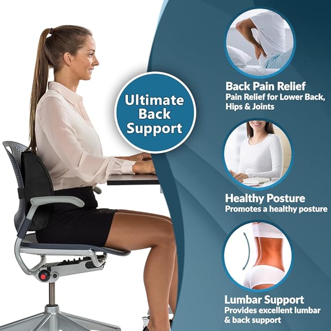 ComfiLife Lumbar Support Back Pillow Office Chair and Car Seat Cushion - Memory Foam with Adjustable Strap and Breathable 3D Mesh (Navy)