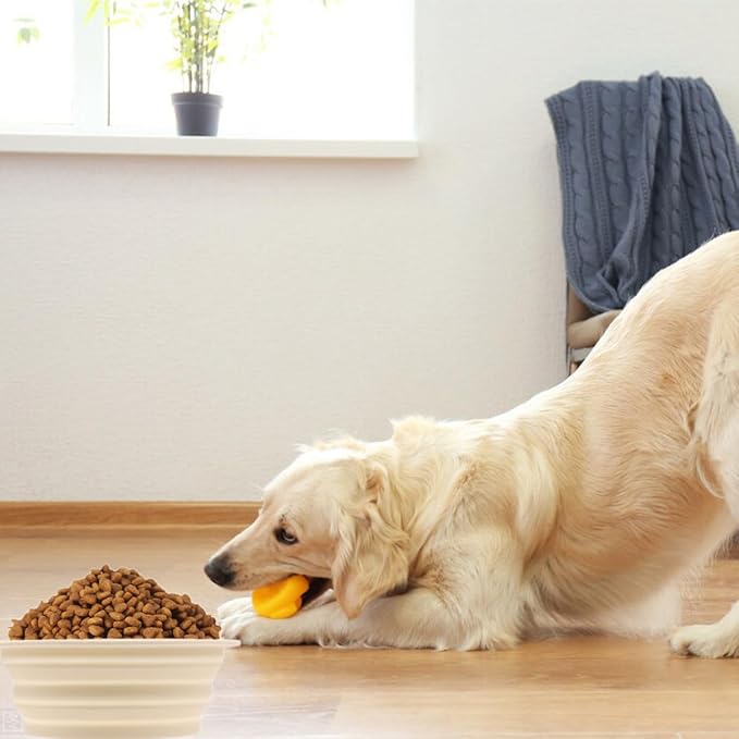 Dog Bowls Pet Collapsible Bowl, 2 Pack,Small,Medium, Large