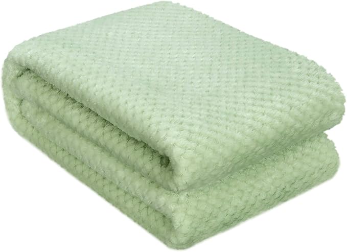 Fuzzy Throw Blanket, Plush Fleece Blankets for Adults, Toddler, Boys and Girls, Warm Soft Blankets and Throws for Bed, Couch, Sofa, Travel and Outdoor, Camping (40”×60”, Pastel Green)