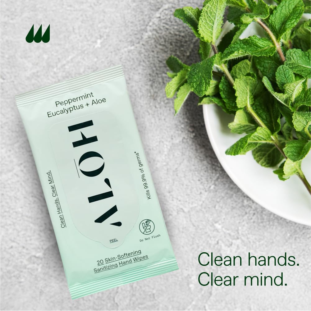 ALŌH Peppermint Eucalyptus Sanitizing Hand Wipes - Clean Hands, Clear Mind On The Go Sanitizer for Kids and Adults - Travel Size 6 packs of 20ct Wipes (120 Wipes)