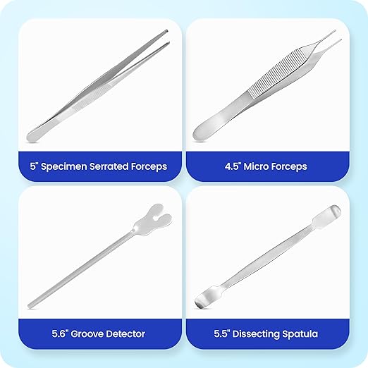 Core Flex Advanced Dissection Kit Biology Lab Anatomy Dissecting Set with Stainless Steel Scalpel Knife Handle Blades for Medical and Veterinary Students Stainless Steel 38-Piece