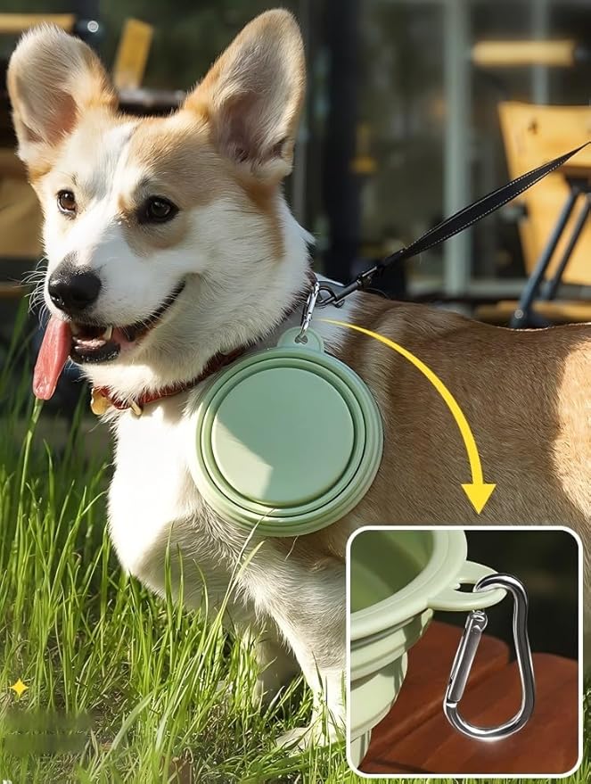 Collapsible Dog Bowls 2-Pack, 22OZ Silicone Large Breed Water & Food Bowls, Portable Pet Bowls with Hook for Travel, Meet Needs in Different Scenarios,Pet Essentials