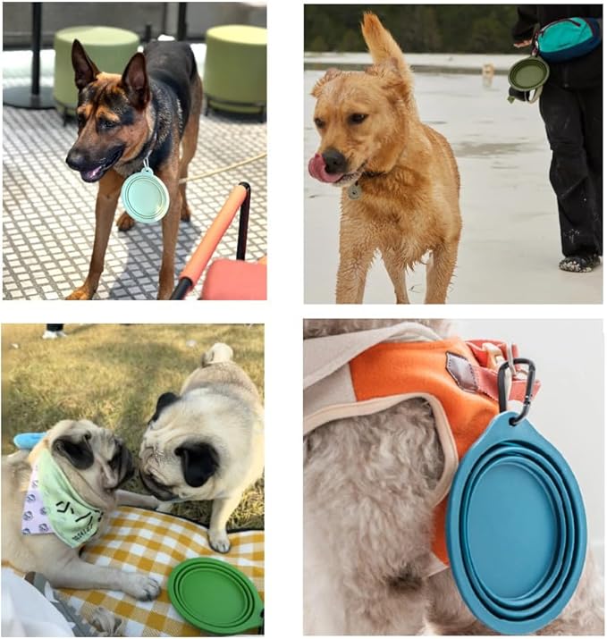 Collapsible Travel Pet Bowl with Carabiner for Dogs and Cats, Portable Silicone Pet Bowl for Waking, Hiking and Traveling (Purple)