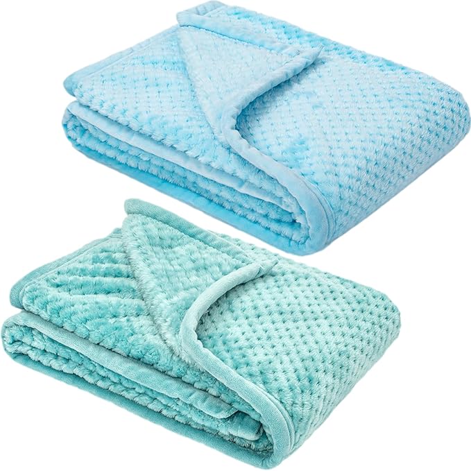 Fuzzy Blanket or Fluffy Blanket for Baby, Soft Warm Cozy Coral Fleece Toddler, Infant or Newborn Receiving Blanket for Crib, Stroller, Travel, Decorative, 30”×40”, Ice Blue+Blue Bell