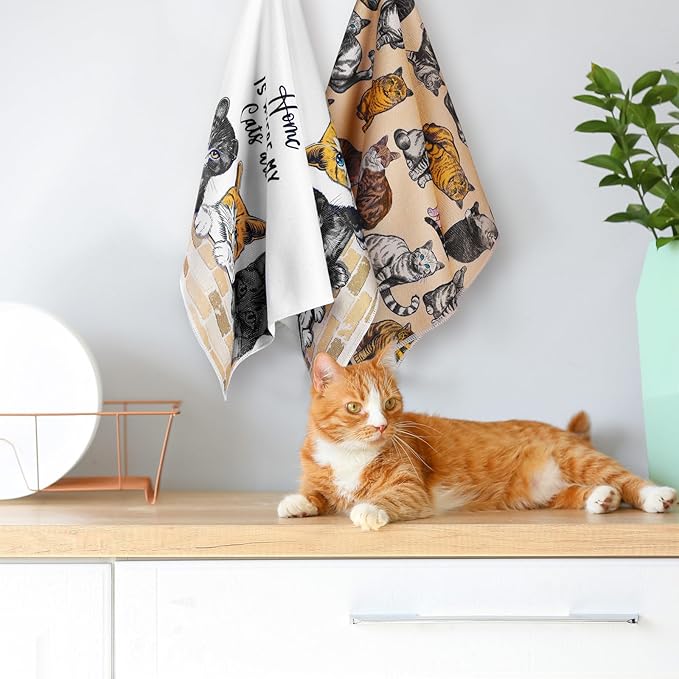 Bencailor 6 Pcs Cat Kitchen Towels Cute Cat Dish Hand Towels Farm Animal Tea Washcloth for Bathroom Kitchen Fall Autumn Farmhouse Decor 24 x 16''