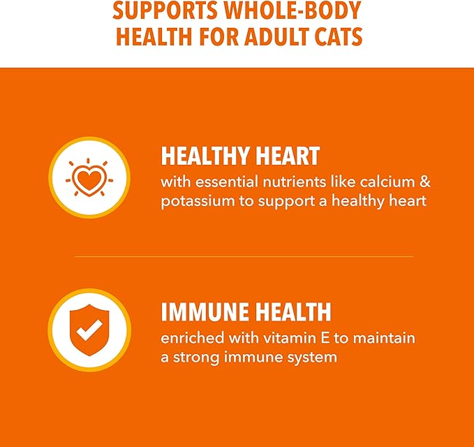 IAMS Proactive Health Dry Cat Food, Healthy Cat Food Dry Recipe for Adults, with Chicken 7 lb. Bag