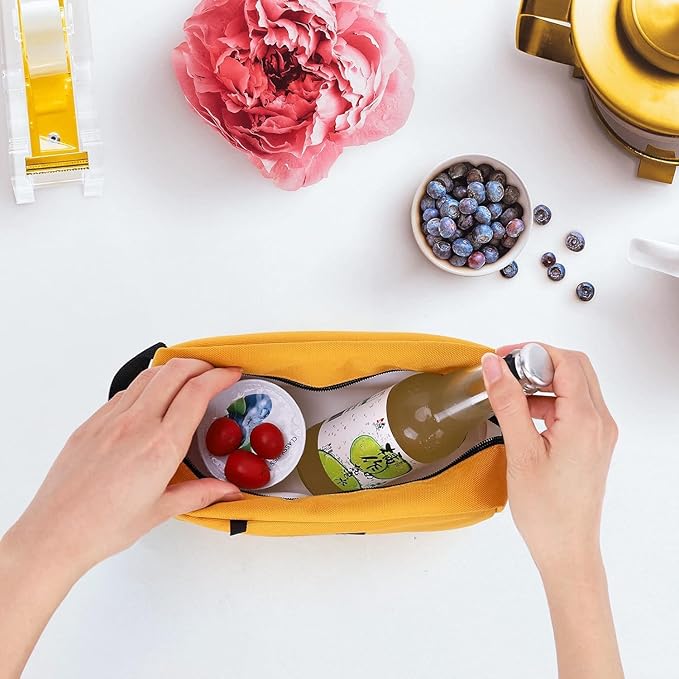 Freezable Lunch Bag,Freezable Snack Bag,Mini Cooler Bag for Travel/Work/School,Small Insulated Bag,Small Cooler Lunch Box with Ice Packs,Insulated Snack Bag,Freezable Snack Box with Handle Buckle