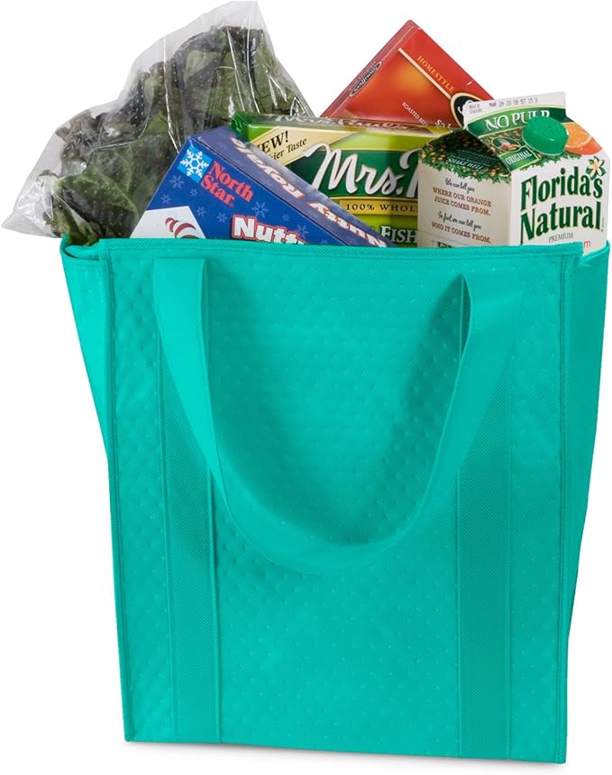 Mediz Hannah Direct Large Capacity Heavy Duty Insulated Smart Shopping Bag - Strong Reusable Grocery Tote 2 Pack