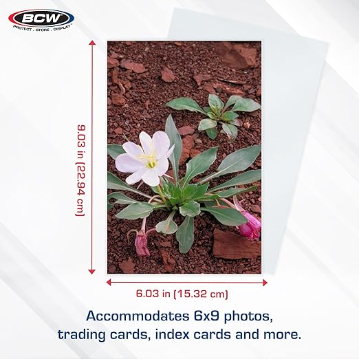 BCW 6x9 Photo Sleeves - 100 ct | Acid-Free, No PVC | Crystal Clear Polypropylene | Archival Storage for 6x9 Photos & Postcards