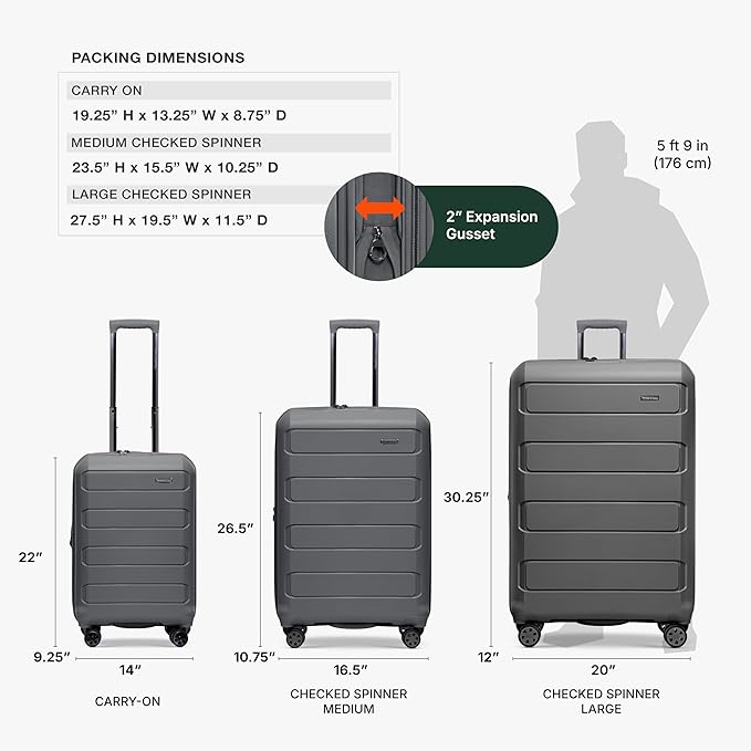 Traveler's Choice Pagosa Hardshell Expandable Luggage with Spinner Wheels, Gray, 30-Inch Large