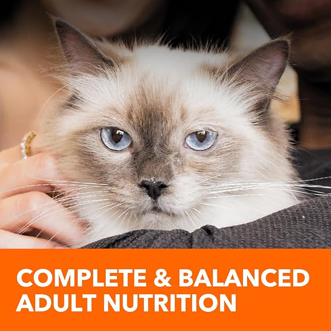 IAMS Healthy Enjoyment Dry Cat Food Chicken & Salmon Recipe, Cat Food Dry Recipe, 6 lb. Bag