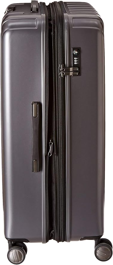 DELSEY PARIS Titanium Hardside Expandable Luggage with Spinner Wheels Checked Luggage, Graphite, Checked-Large 29 Inch