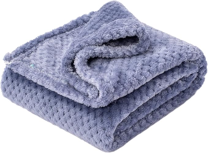 Fuzzy Blanket or Fluffy Blanket for Baby Girl or boy, Soft Warm Cozy Coral Fleece Toddler, Infant or Newborn Receiving Blanket for Crib, Stroller, Travel, Decorative (40”×60”, Pearl Blue)