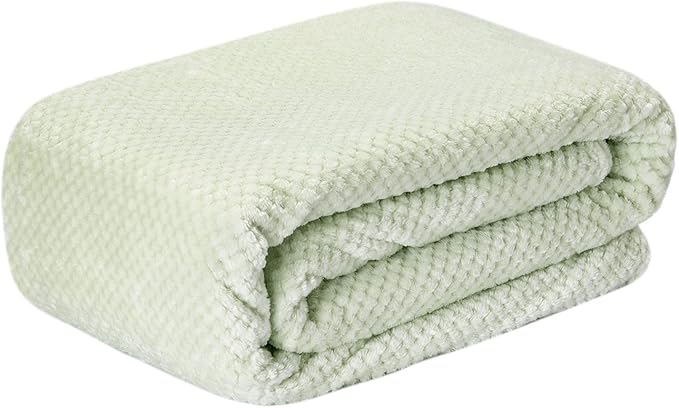 Fuzzy Throw Blanket, Plush Fleece Blankets for Adults, Toddler, Boys and Girls, Warm Soft Blankets and Throws for Bed, Couch, Sofa, Travel and Outdoor, Camping (Twin(60"x80"), XL1-Pastel Green)