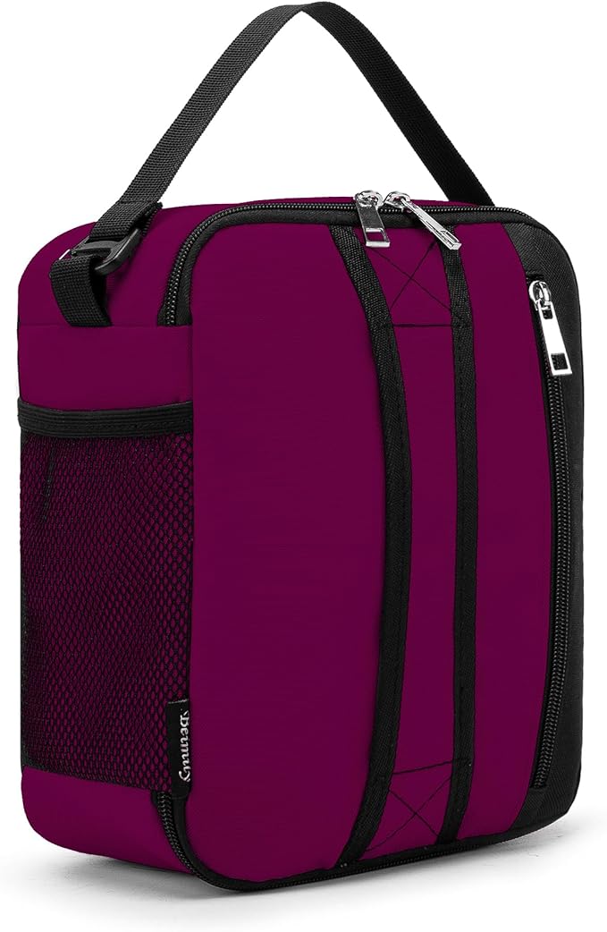 BEIMILY Lunch Box for Men Women Adults,Small Insulated Lunch Bag for Office Work Picnic,Reusable Portable Lunchbox,Soft Cooler Tote Bag(Dark Red)