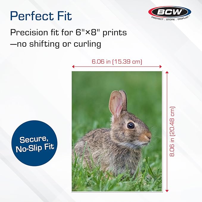BCW 6x8 Photo Sleeves - 100 Pack | Archival Photo Sleeves for Art, Postcards & Photos | Acid-Free, No PVC | Archival Quality for Storage & Display