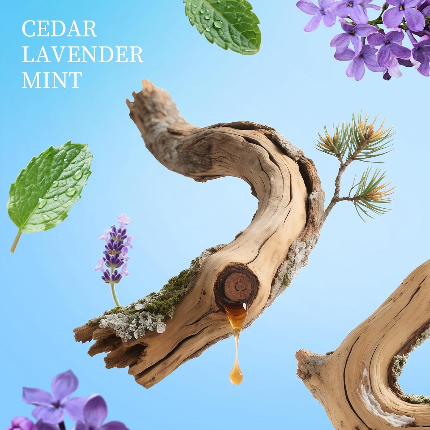 Power Mist Hand Sanitizer Spray, Scented Hydrating Hand Sanitizers Travel Size Refillable, Pocket Portable 1-Pack (Silver Cedar) 0.93Fl Oz 460-Sprays Each