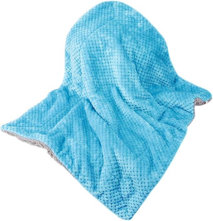 Fuzzy Sherpa Reversible Blanket for Baby, Soft Warm Cozy Coral Fleece Toddler, Infant or Newborn Reversible Blanket for Crib, Stroller, Travel, 40”×60”, Ice Blue
