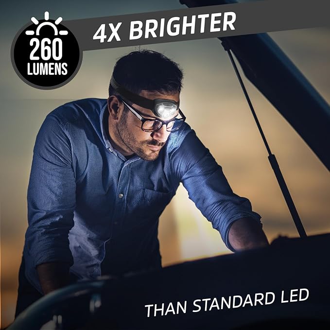 Energizer PRO-260 LED Headlamp (8-Pack), IPX4 Water Resistant Headlamps, High-Performance Head Light for Outdoors, Camping, Running, Storm, Survival LED Light for Emergencies (Batteries Included)