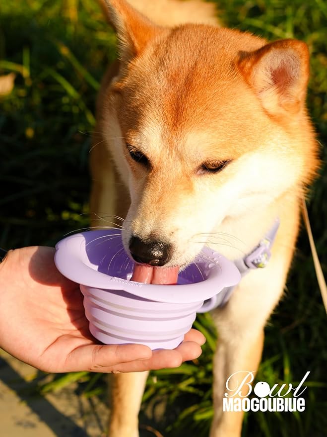 Silicone Collapsible Dog Bowls, No Splash Spill Proof Dog Travel Bowls Integrated Molding Portable Pet Bowl for Outdoor Camping Hiking (Purple, M)