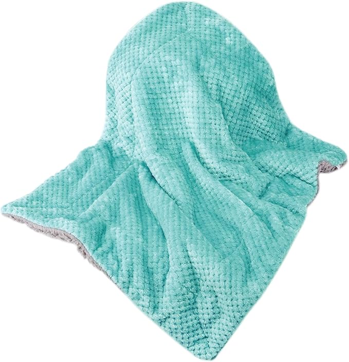 Fuzzy Sherpa Reversible Blanket for Baby, Soft Warm Cozy Coral Fleece Toddler, Infant or Newborn Reversible Blanket for Crib, Stroller, Travel, 30”×40”, Blue Bell
