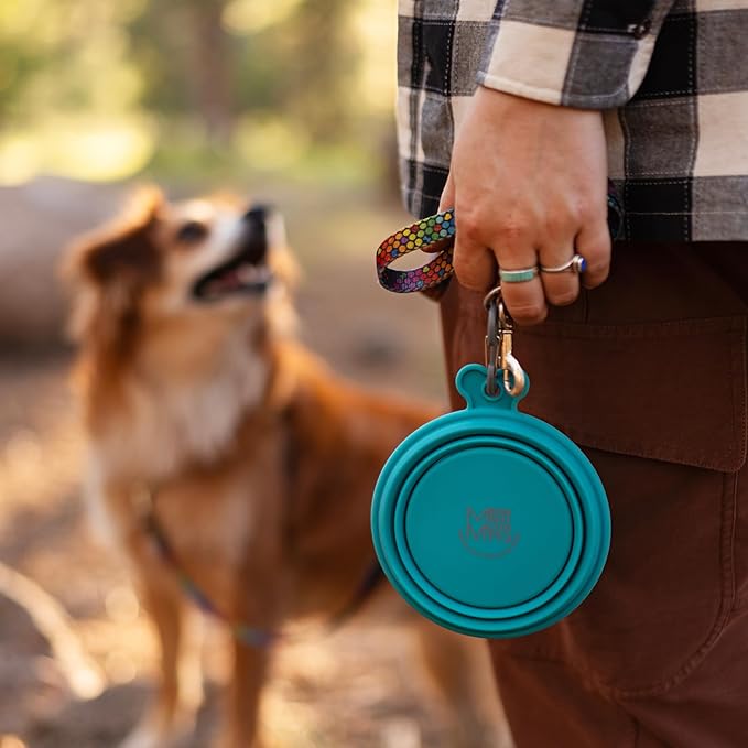 Messy Mutts Silicone Collapsible Bowl | Pet Travel Necessity | Portable Water or Food Dish | Pop Up Watering Bowl | Camping, Hiking, Walking Accessory | Small, 1.75 Cups | Blue