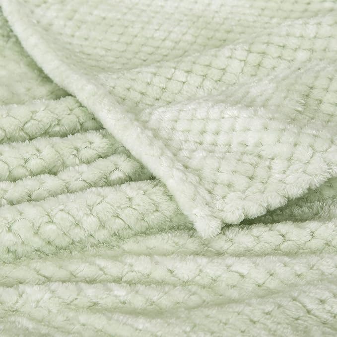 Fuzzy Throw Blanket, Plush Fleece Blankets for Adults, Toddler, Boys and Girls, Warm Soft Blankets and Throws for Bed, Couch, Sofa, Travel and Outdoor, Camping (Twin(60"x80"), XL1-Pastel Green)
